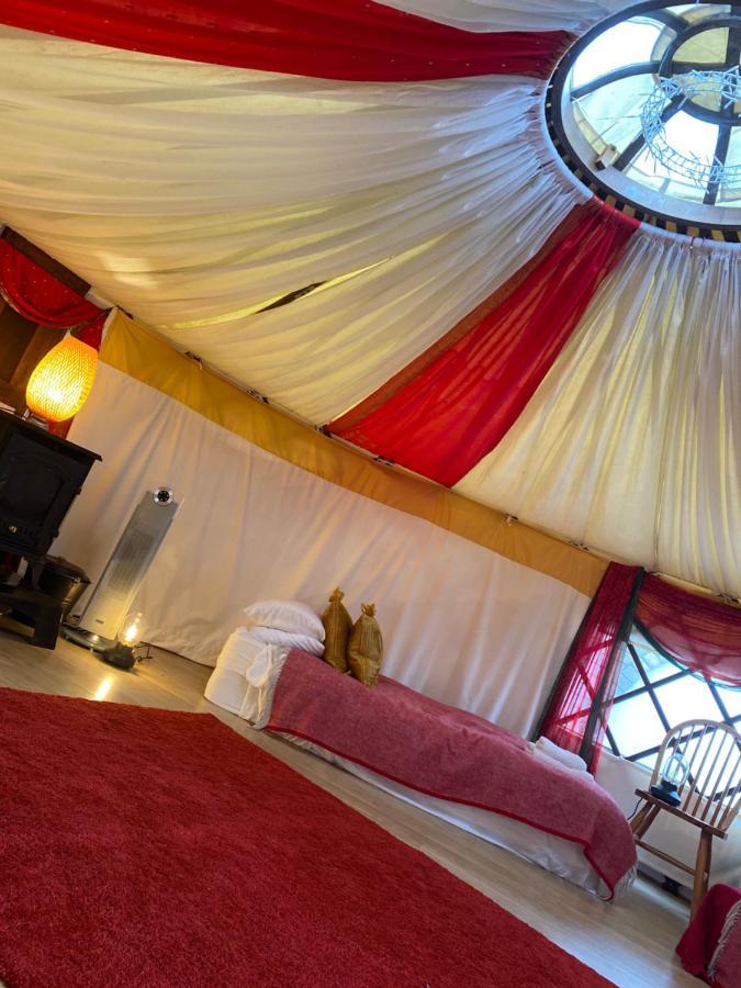 Healing Waters Sanctuary For Exclusive Private Hire And Self Catering Board, Vegetarian, Alcohol & Wifi Free Retreat In Glastonbury Exterior foto