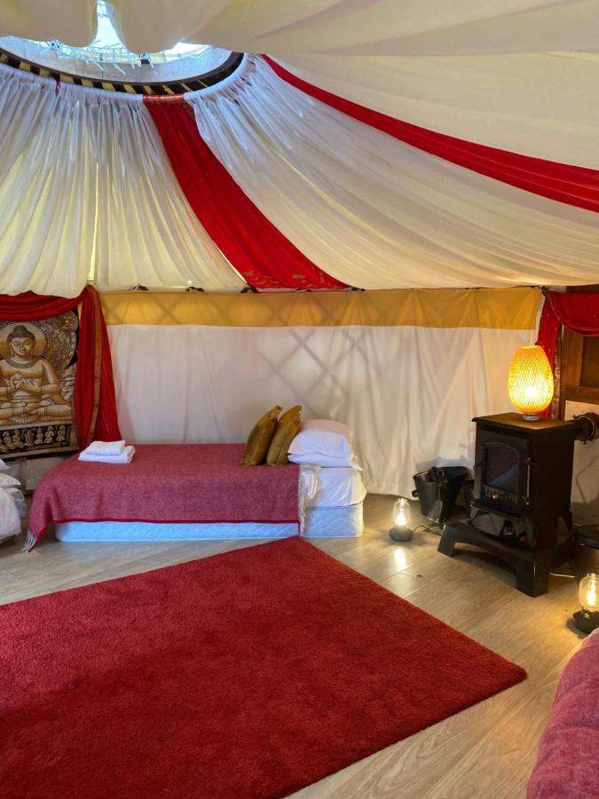Healing Waters Sanctuary For Exclusive Private Hire And Self Catering Board, Vegetarian, Alcohol & Wifi Free Retreat In Glastonbury Exterior foto